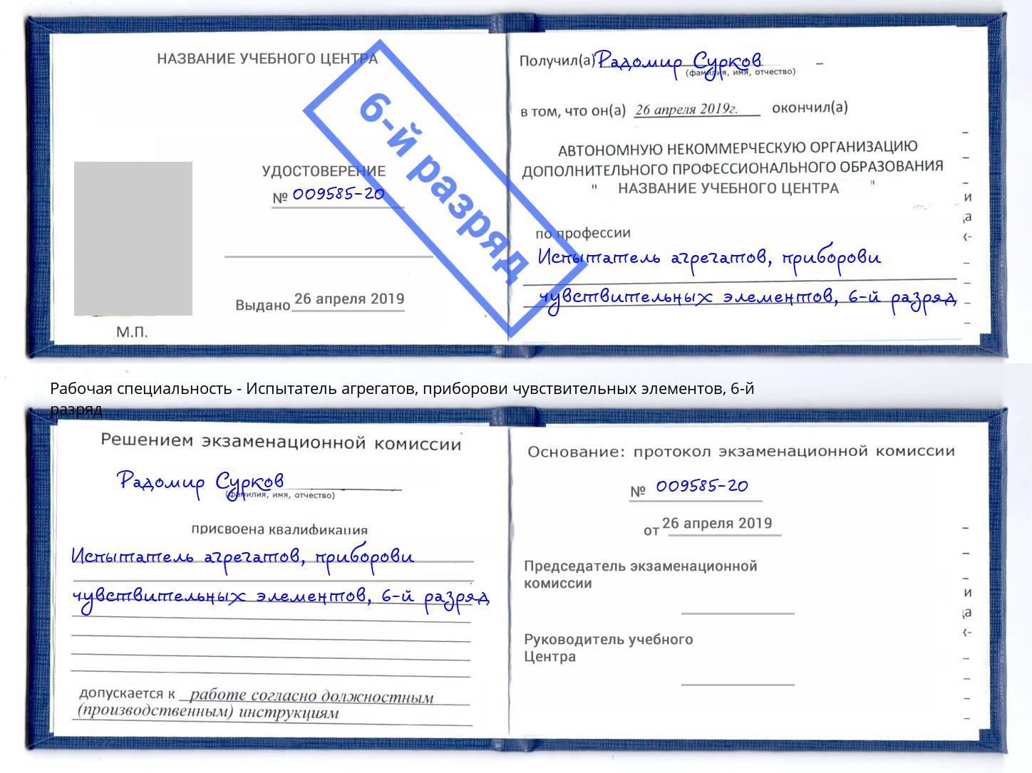 корочка 6-й разряд Испытатель агрегатов, приборови чувствительных элементов Карабулак
